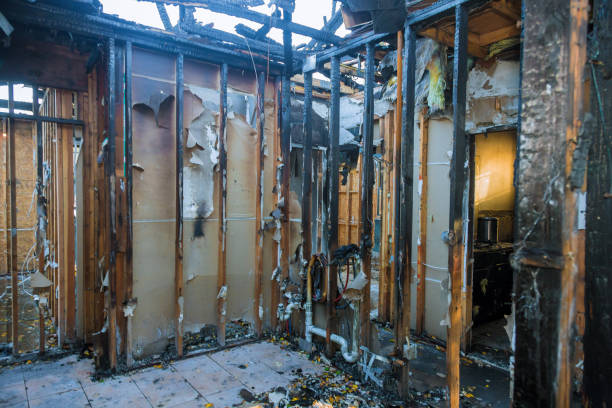 Professional Fire Damage Assessment technician working in Rocky Top, TN